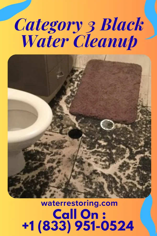 Category 3 Black Water Cleanup in Thayer, IA