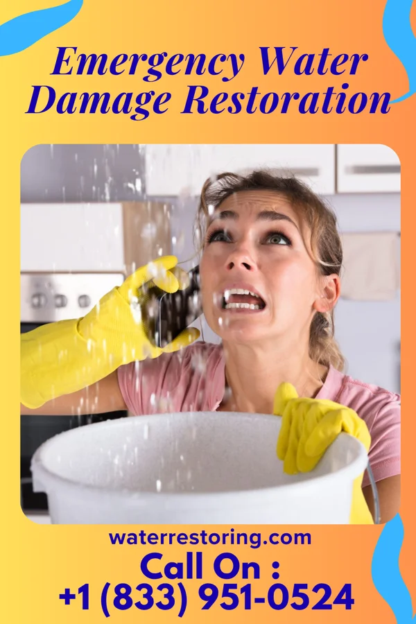 Emergency Water Damage Restoration in Thayer, IA