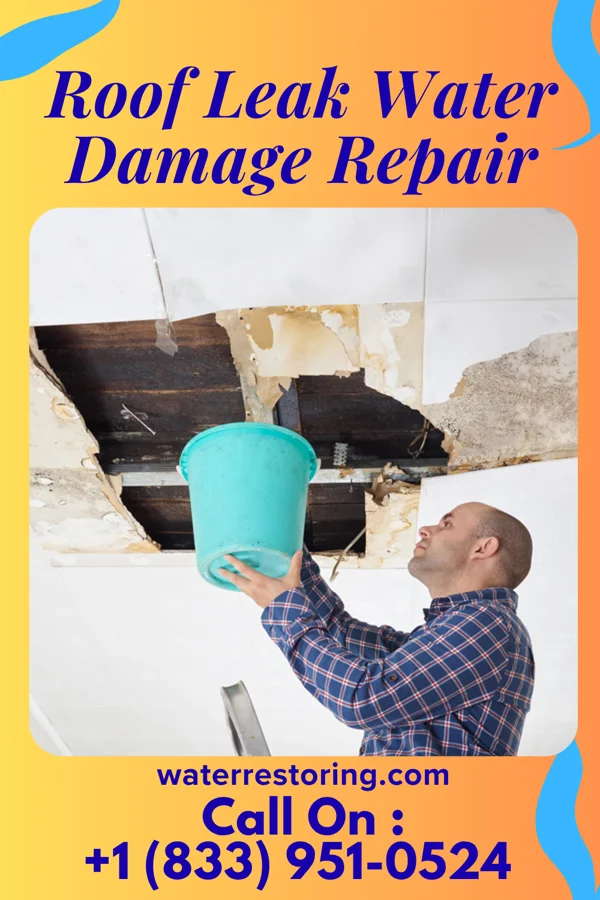 Roof Leak Water Damage Repair in Thayer, IA