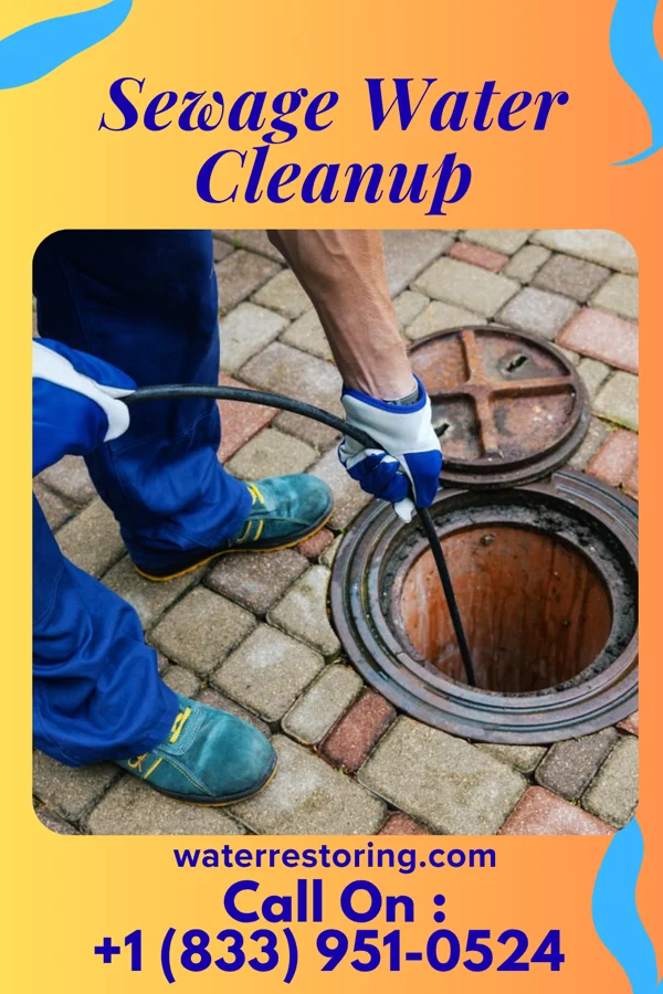 Sewage Water Cleanup in Thayer, IA